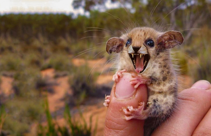 Photo: Sarah DeRemer 