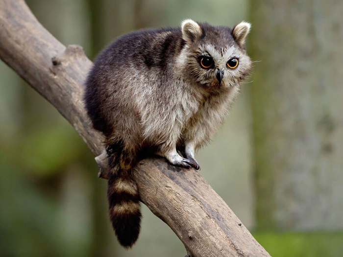 Photo: Sarah DeRemer