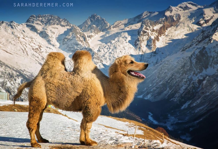 Photo: Sarah DeRemer