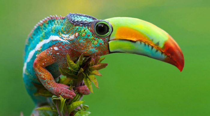 Photo: Sarah DeRemer 