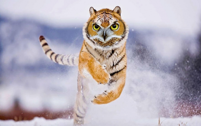 Photo: Sarah DeRemer