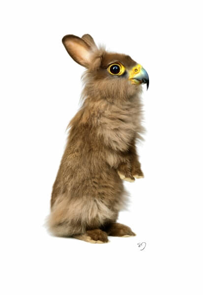 Photo: Sarah DeRemer
