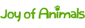Joy of Animals
