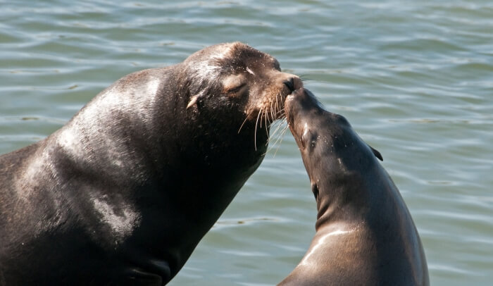 Photo: Eric Kilby / Flickr