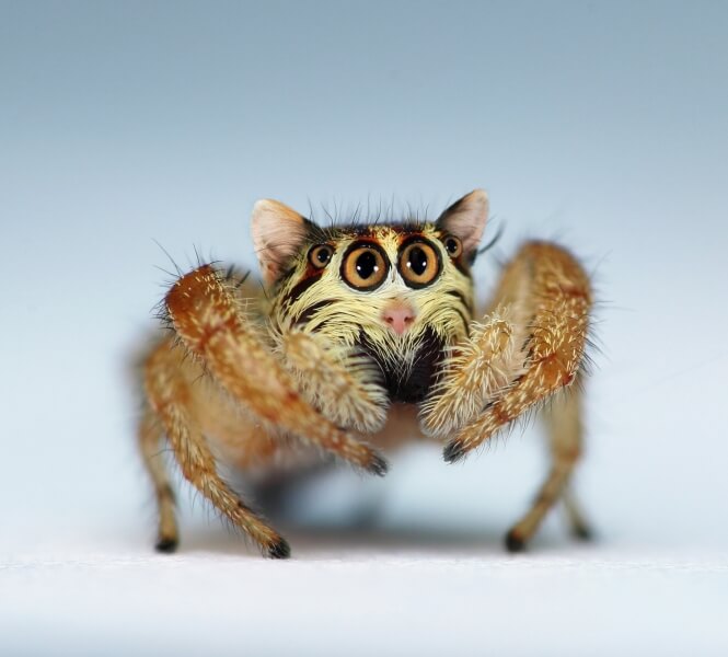 Photo: Sarah DeRemer